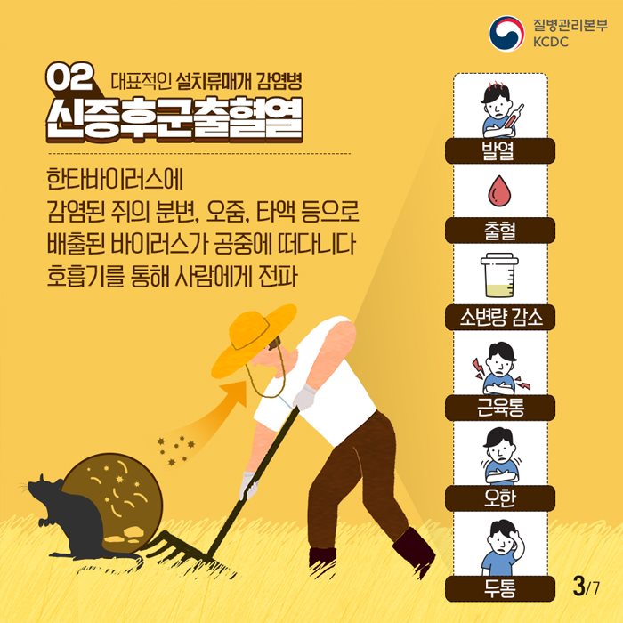 3.설치류매개 감염병 주의안내